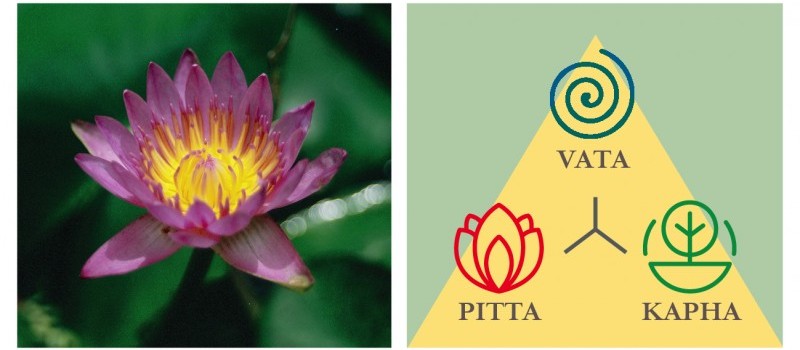 Ayurveda per tutti